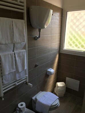 Shower, free toiletries, hair dryer, bidet