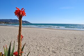 On the beach, sun loungers, beach umbrellas