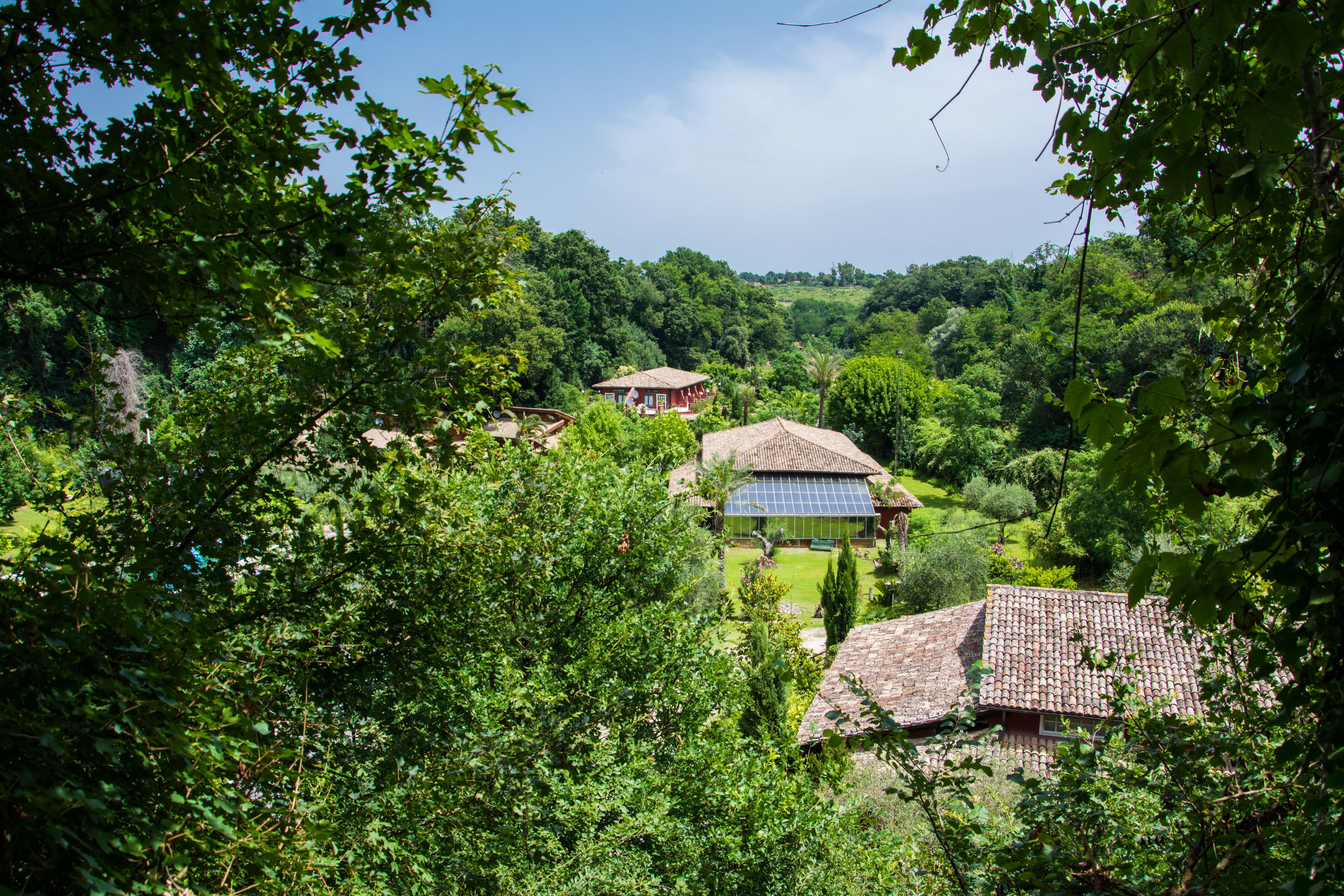 Un entorno rural con casas tradicionales rodeadas de abundante vegetación.