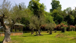 Un giardino curato con alberi maturi, una serra in vetro e una struttura in mattoni.