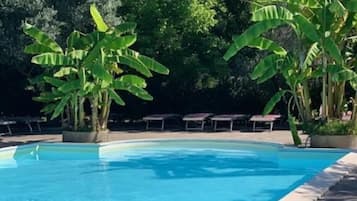 Standard Apartment, 1 Bedroom (3 pax) | Pool | Seasonal outdoor pool, pool loungers