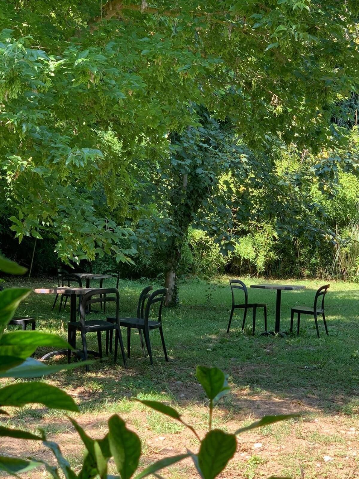 Un espacio al aire libre con mesas y sillas bajo un árbol grande, rodeado de follaje denso.