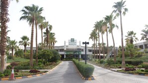 A hotel entrance with a paved pathway, palm trees, and a signboard.