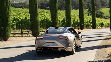 A luxury car parked on a road with vineyards and tall trees in the background.