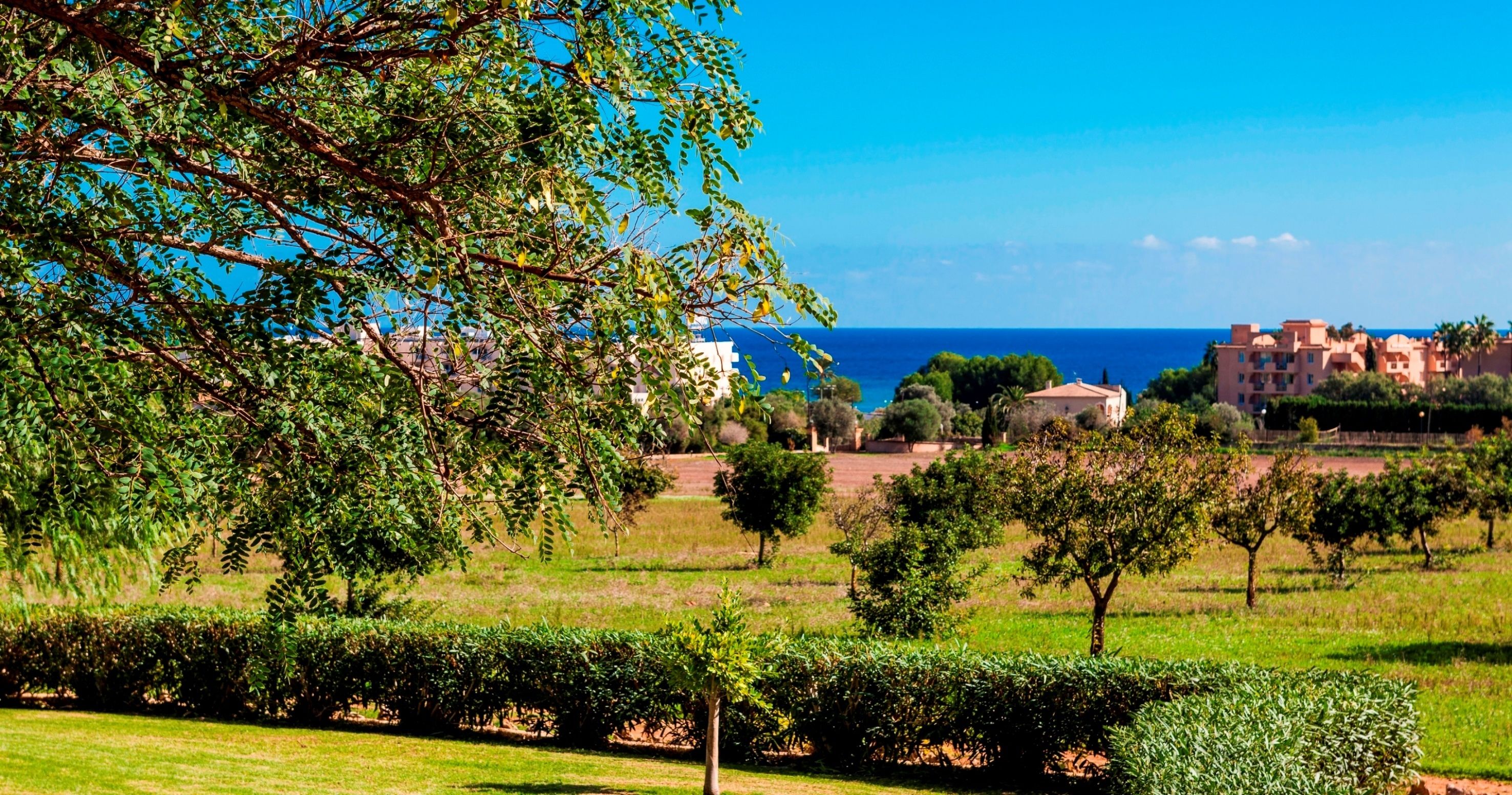 Photo - Son Corb Boutique Hotel