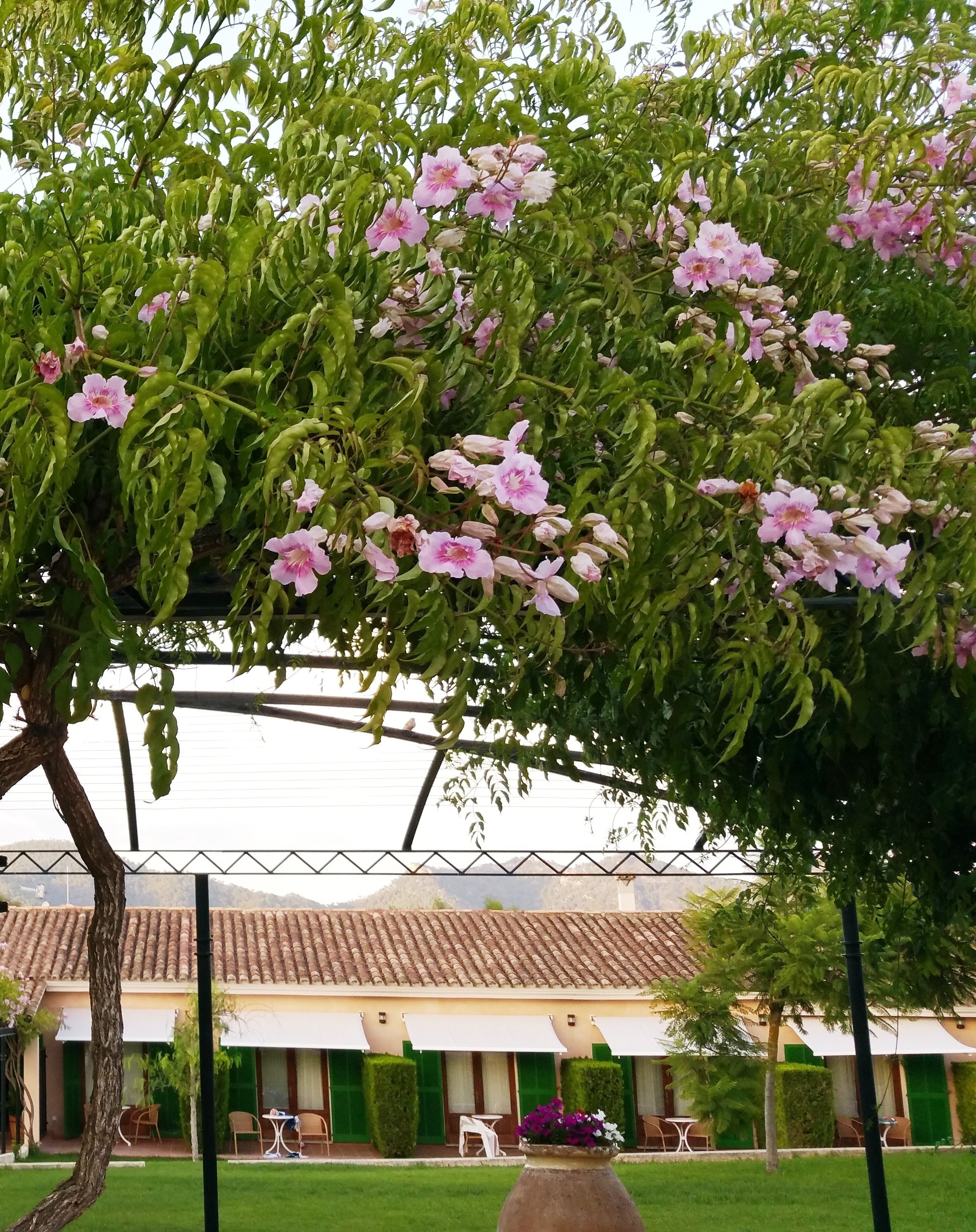 Photo - Son Corb Boutique Hotel