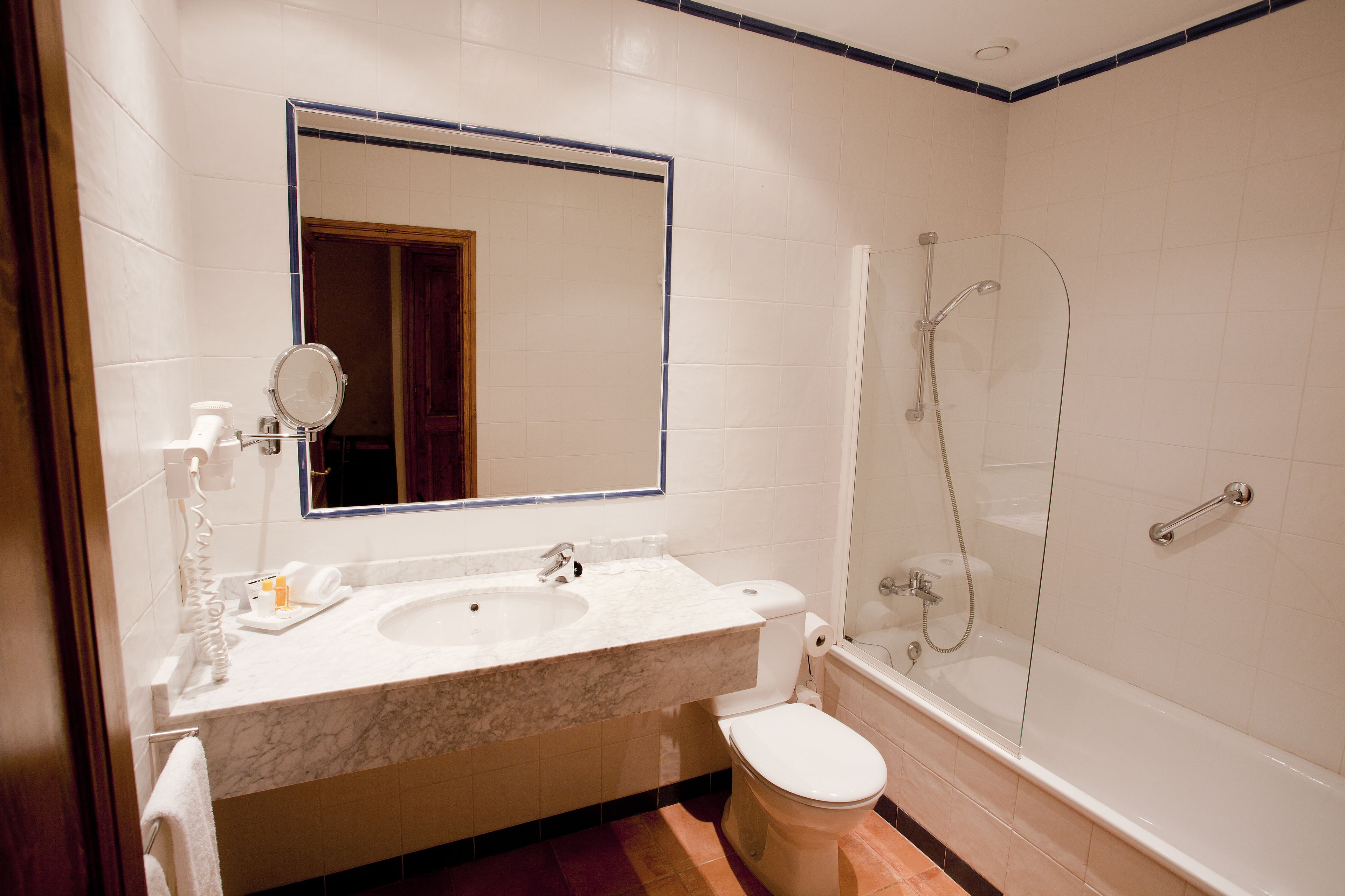 combined shower/bathtub, free toiletries, hair dryer, bidet