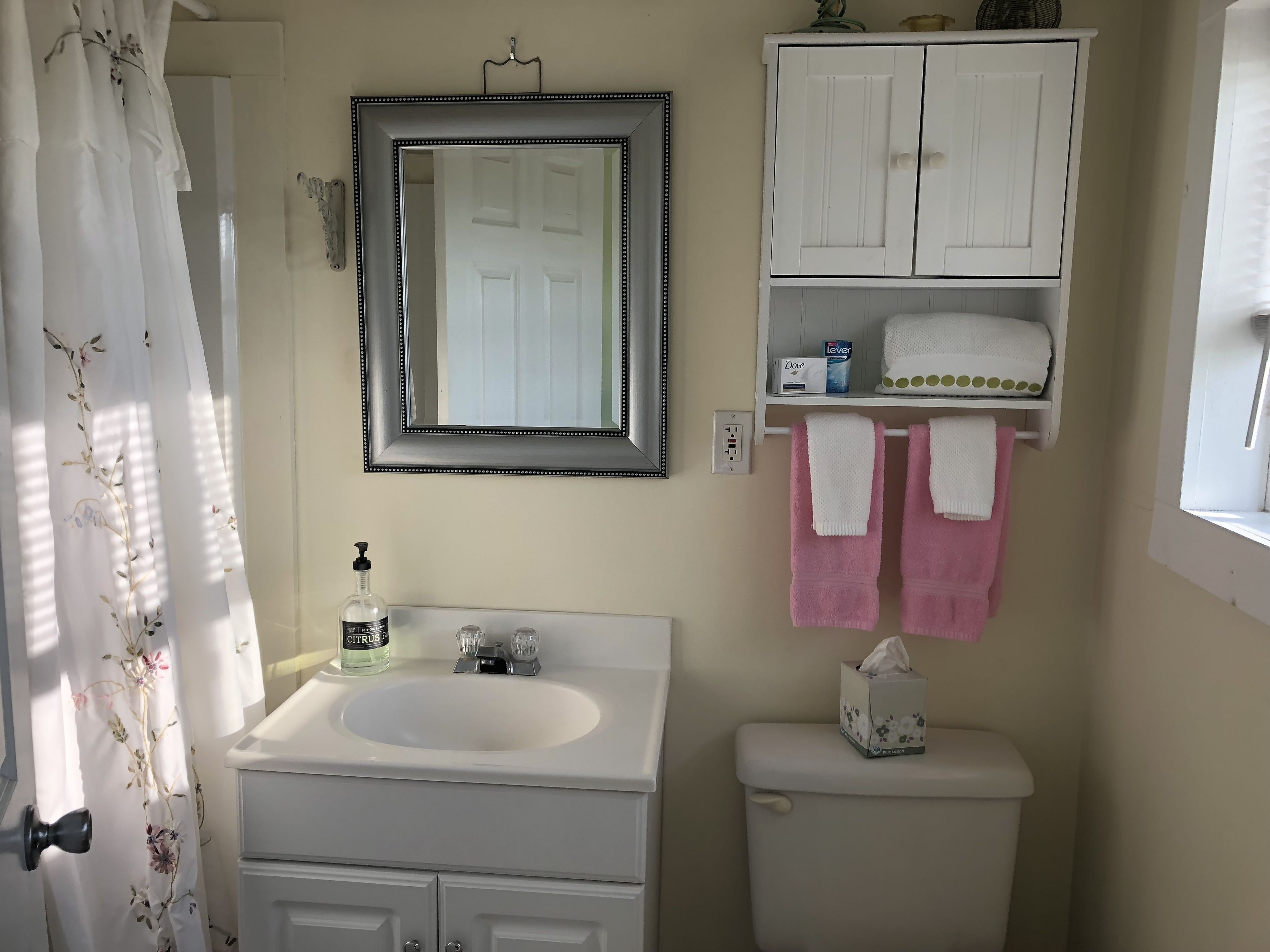 standard room, 1 queen bed, refrigerator & microwave, lake view | bathroom | shower, hair dryer, towels