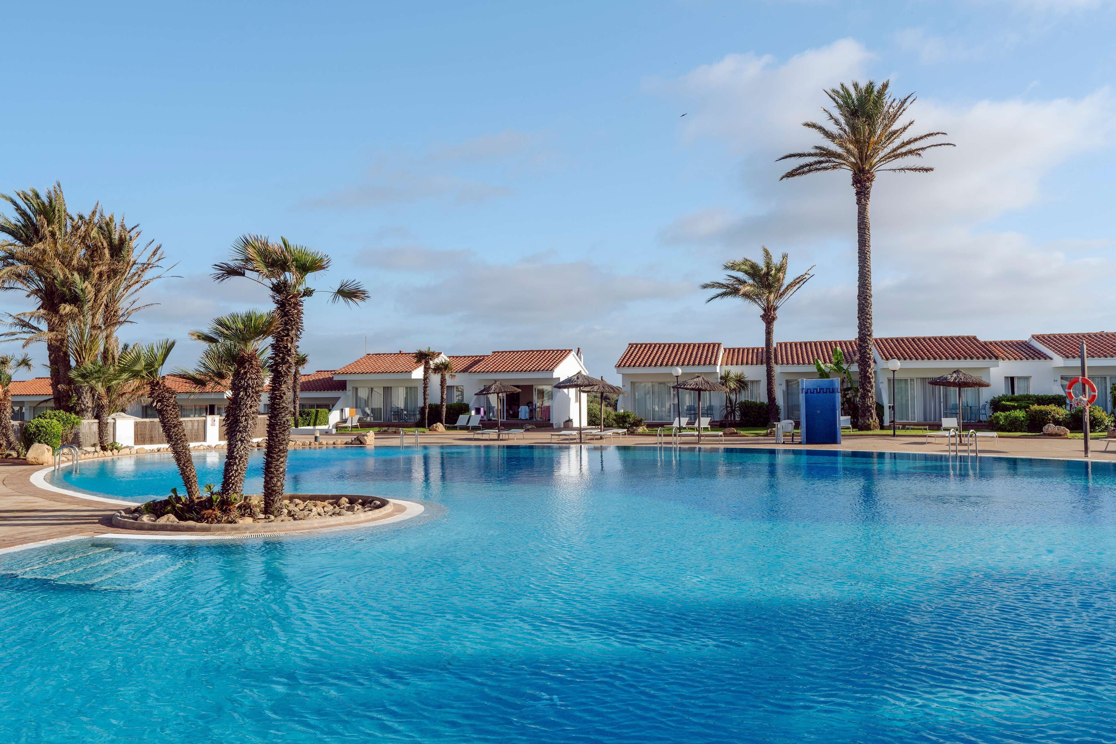 A swimming pool with palm trees, a clear sky, and a row of buildings with red roofs.