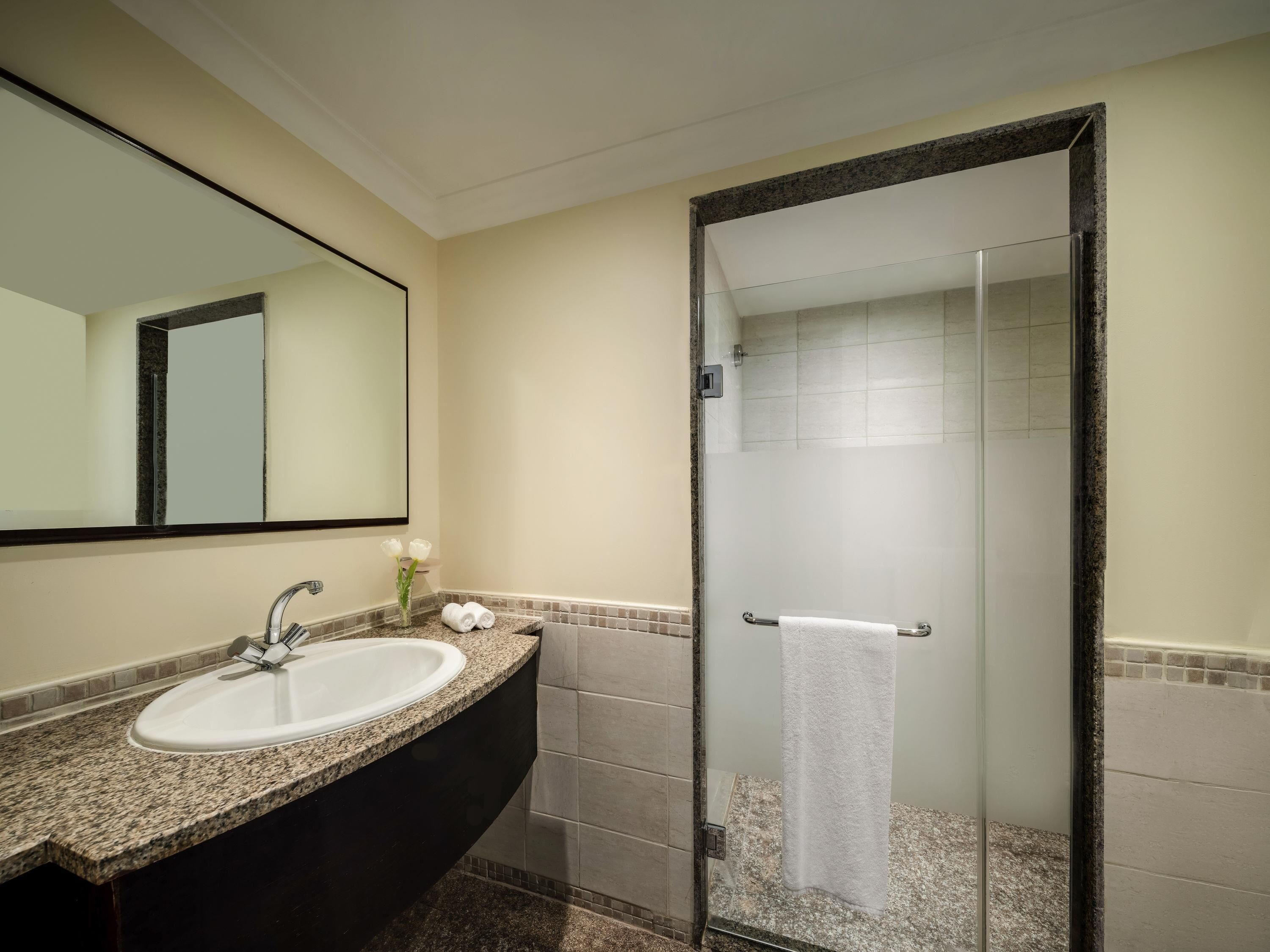 A bathroom with a sink, mirror, and shower.