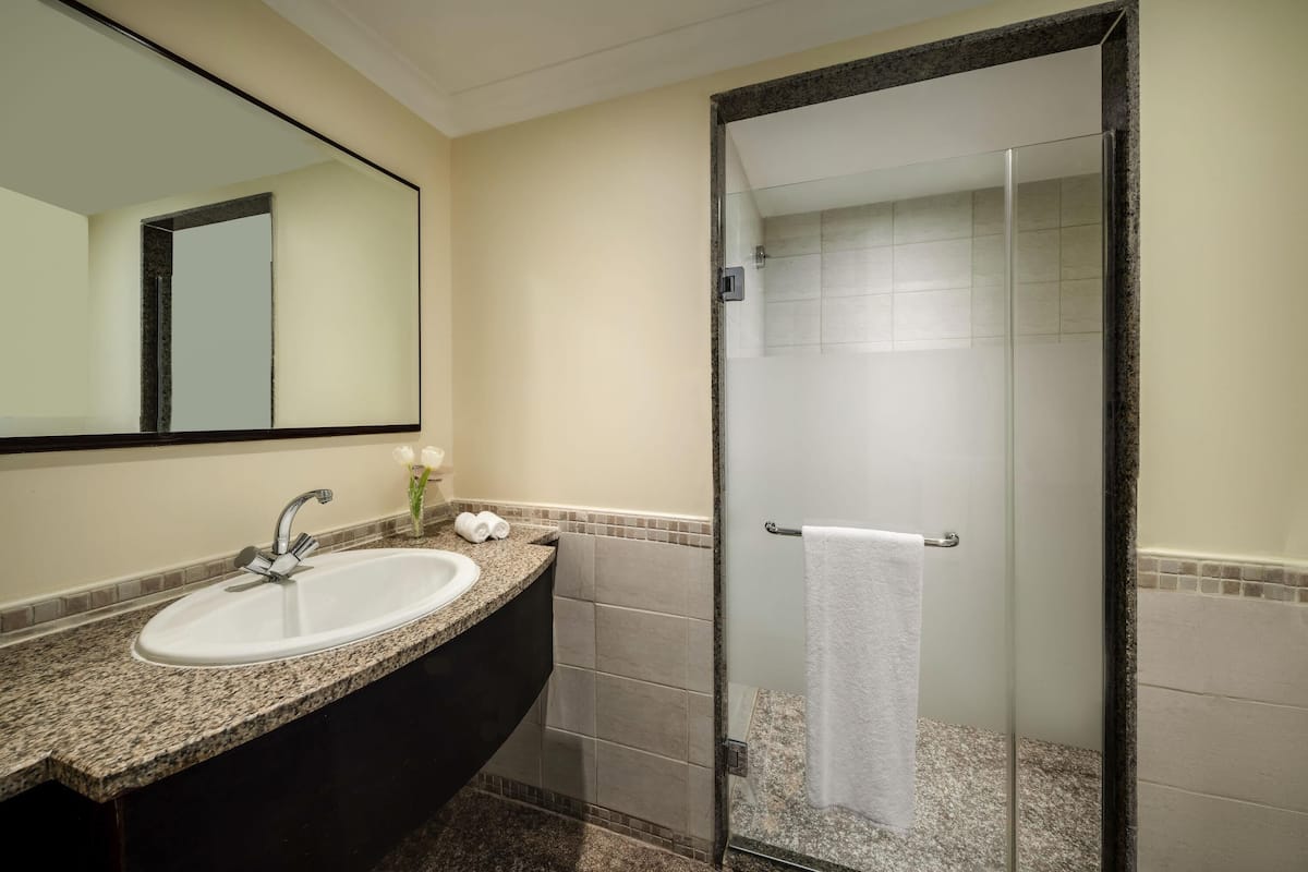 A bathroom with a sink, mirror, and shower.