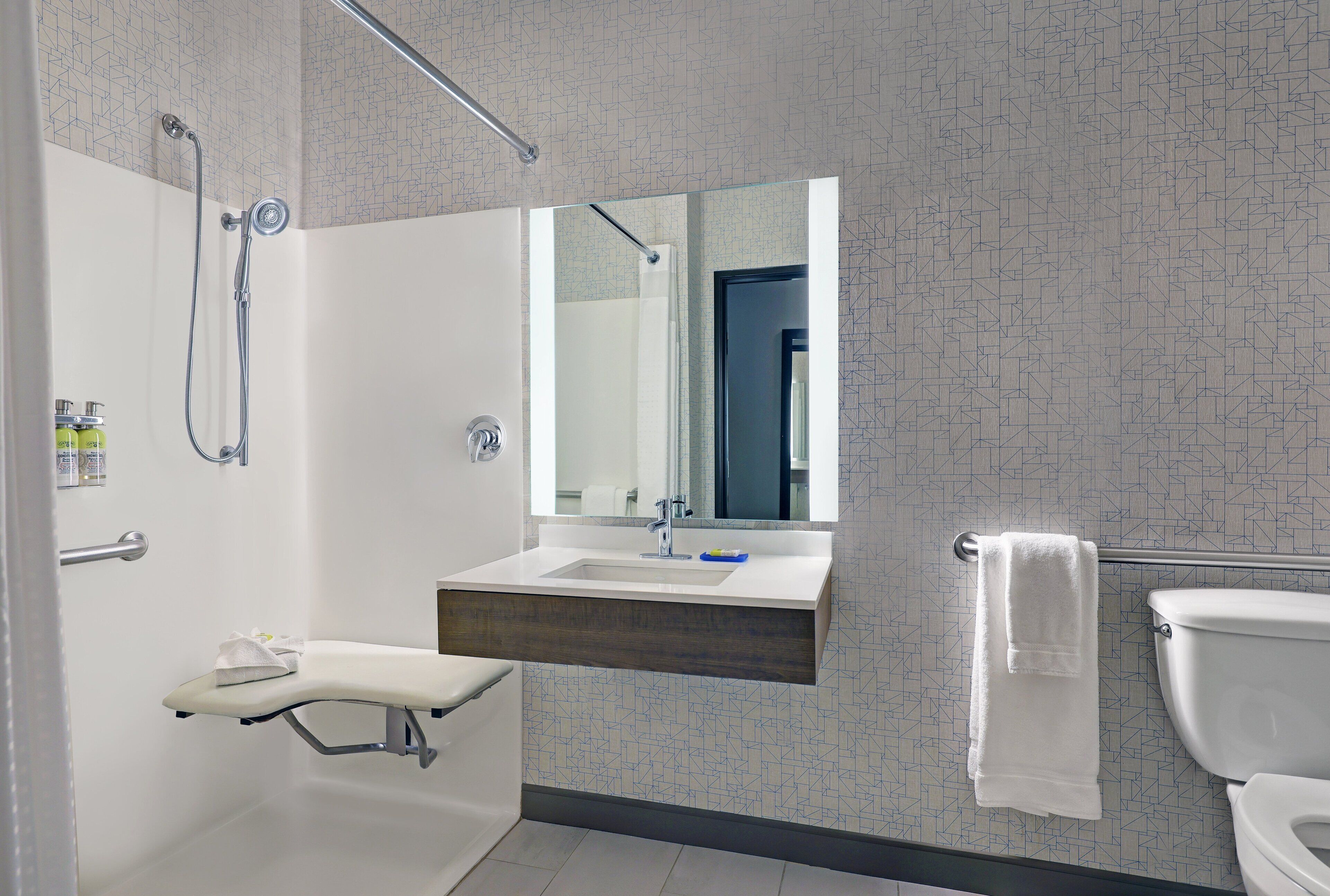 standard room, 1 king bed, accessible (mobility, roll-in shower) | accessible bathroom