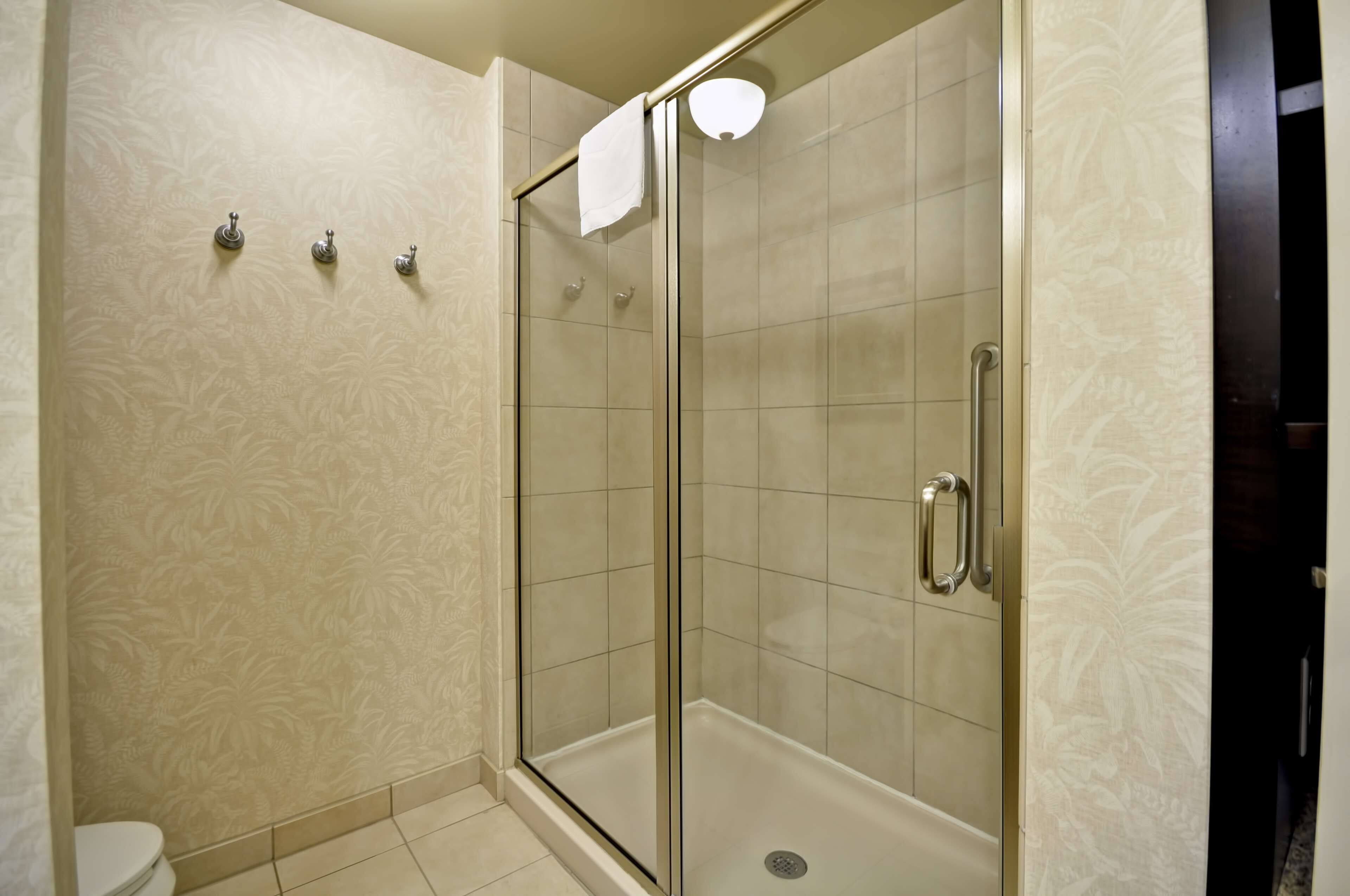 A shower with a glass door, a toilet, and a towel rack.