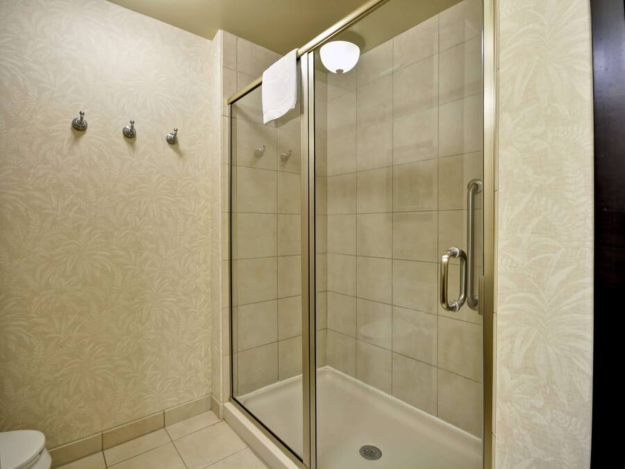 A shower with a glass door, a toilet, and a towel rack.