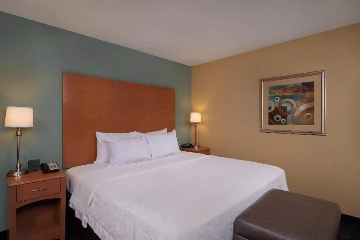 Premium bedding, desk, iron/ironing board, free cribs/infant beds