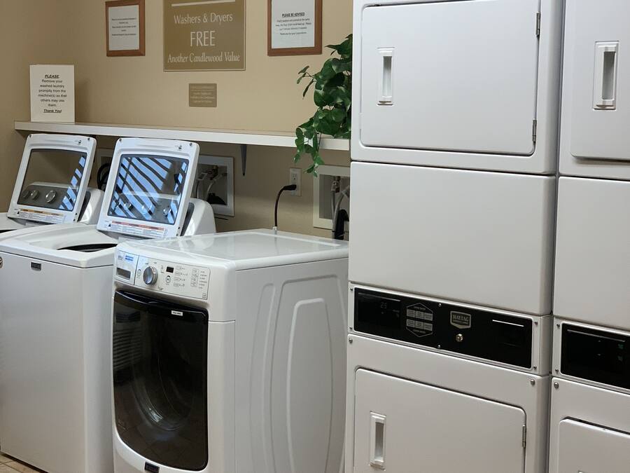 A laundromat with stacked washers and dryers, a sign indicating free use, and a plant on the wall.