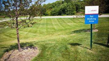 Enjoy a leisurely stroll with your pet in this serene, pet-friendly area surrounded by lush greenery and a well-manicured lawn.