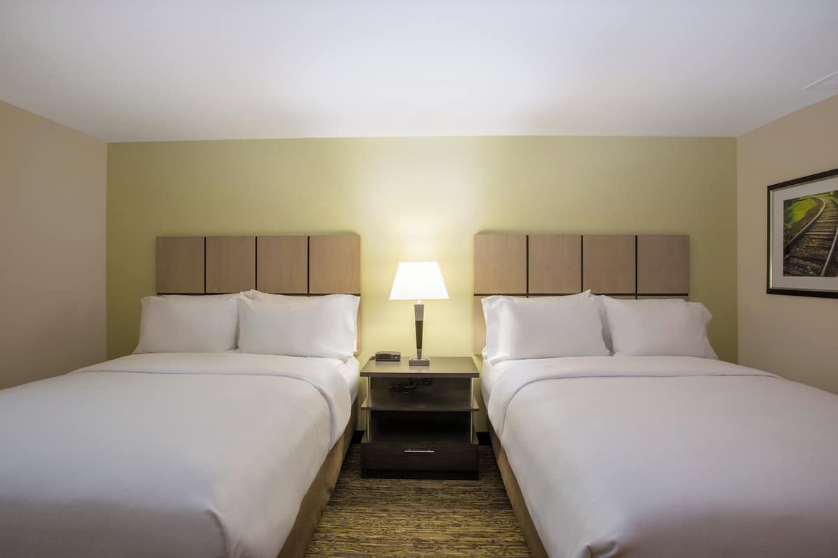 A hotel room with two beds, a nightstand with a lamp, and a framed picture on the wall.