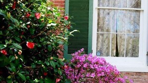 A building with green shutters, a brick wall, and a window with a decorative frame.