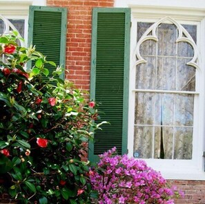 View from property - Glenfield Plantation Historic B&B (Natchez)