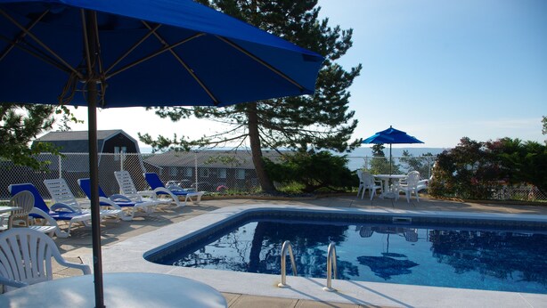 A swimming pool with lounge chairs and umbrellas, surrounded by a fence and trees. - Silver Dart Lodge (Baddeck)