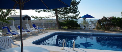 Seasonal outdoor pool, pool umbrellas, pool loungers