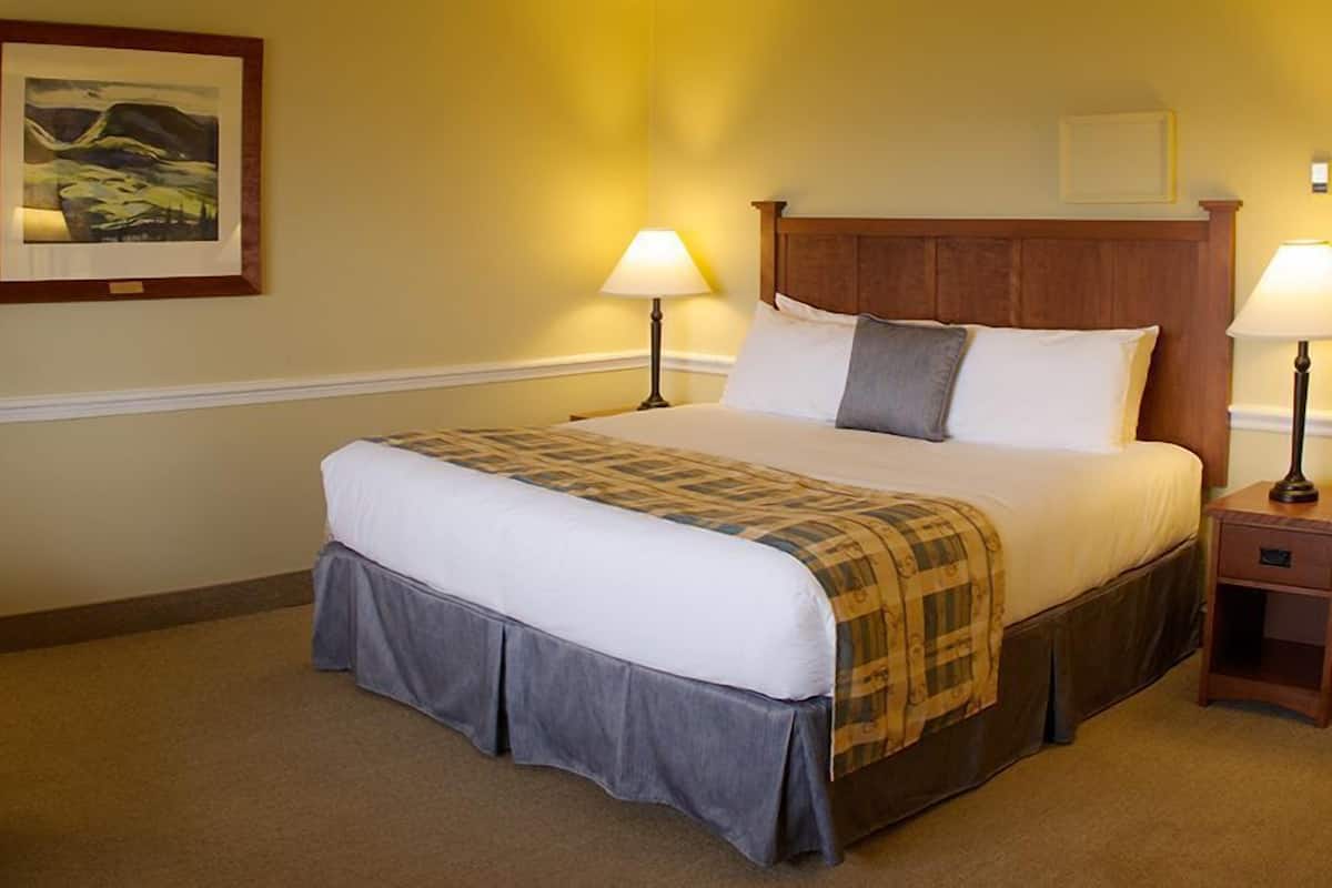 Desk, blackout curtains, iron/ironing board, free WiFi