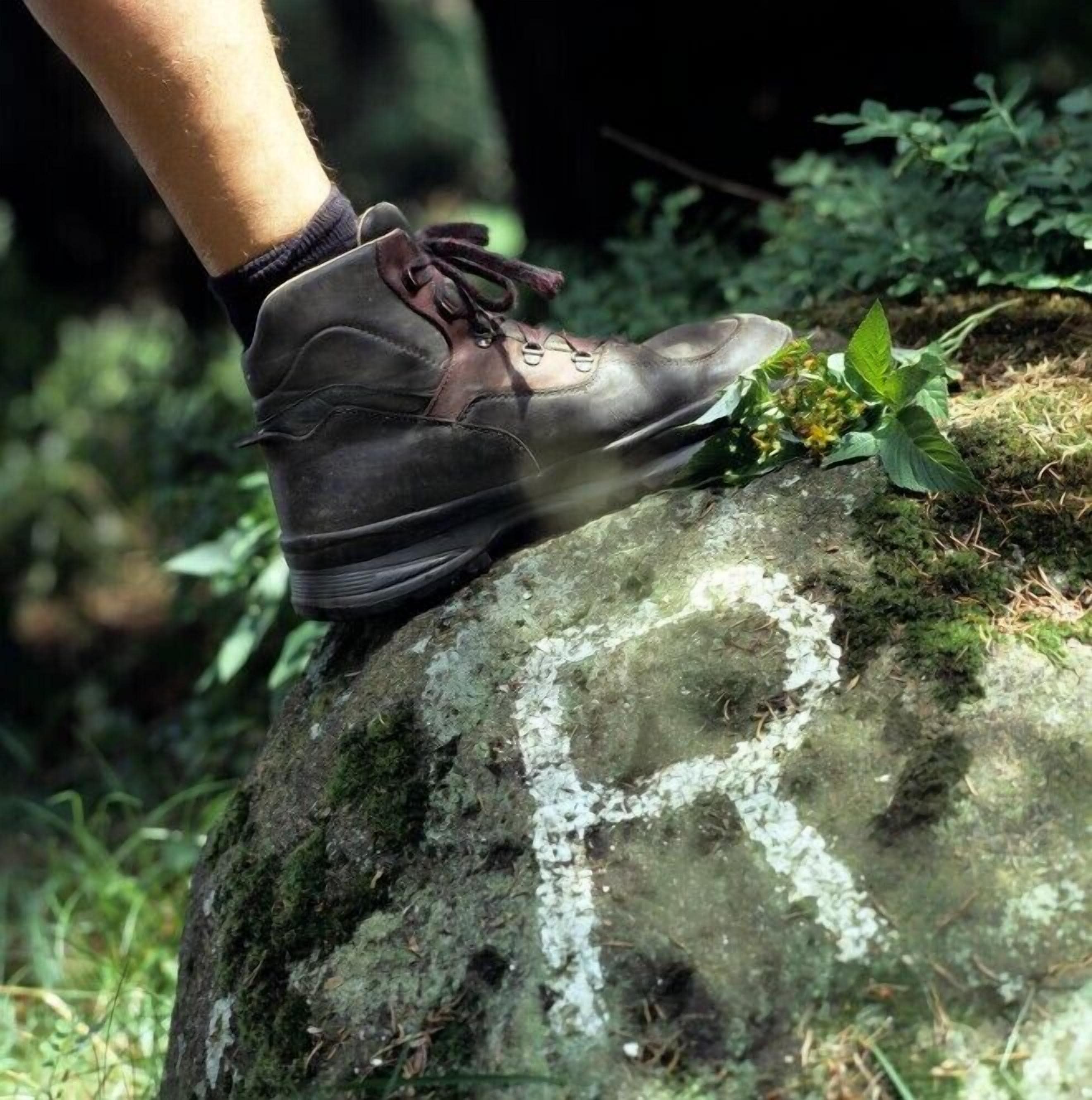 Un pie sobre una roca cubierta de musgo con una pequeña planta cerca.