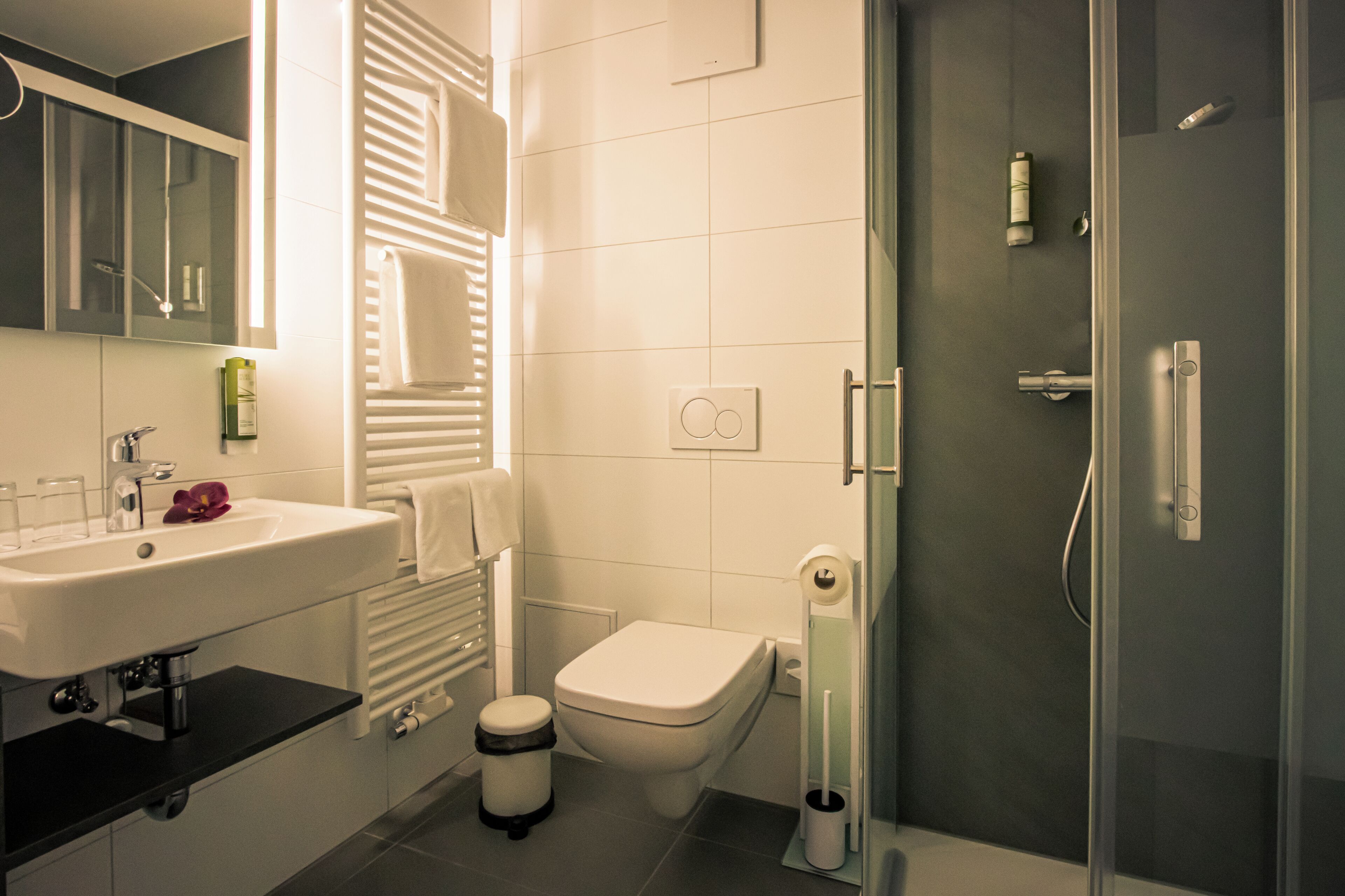 shower, hair dryer, bathrobes, towels