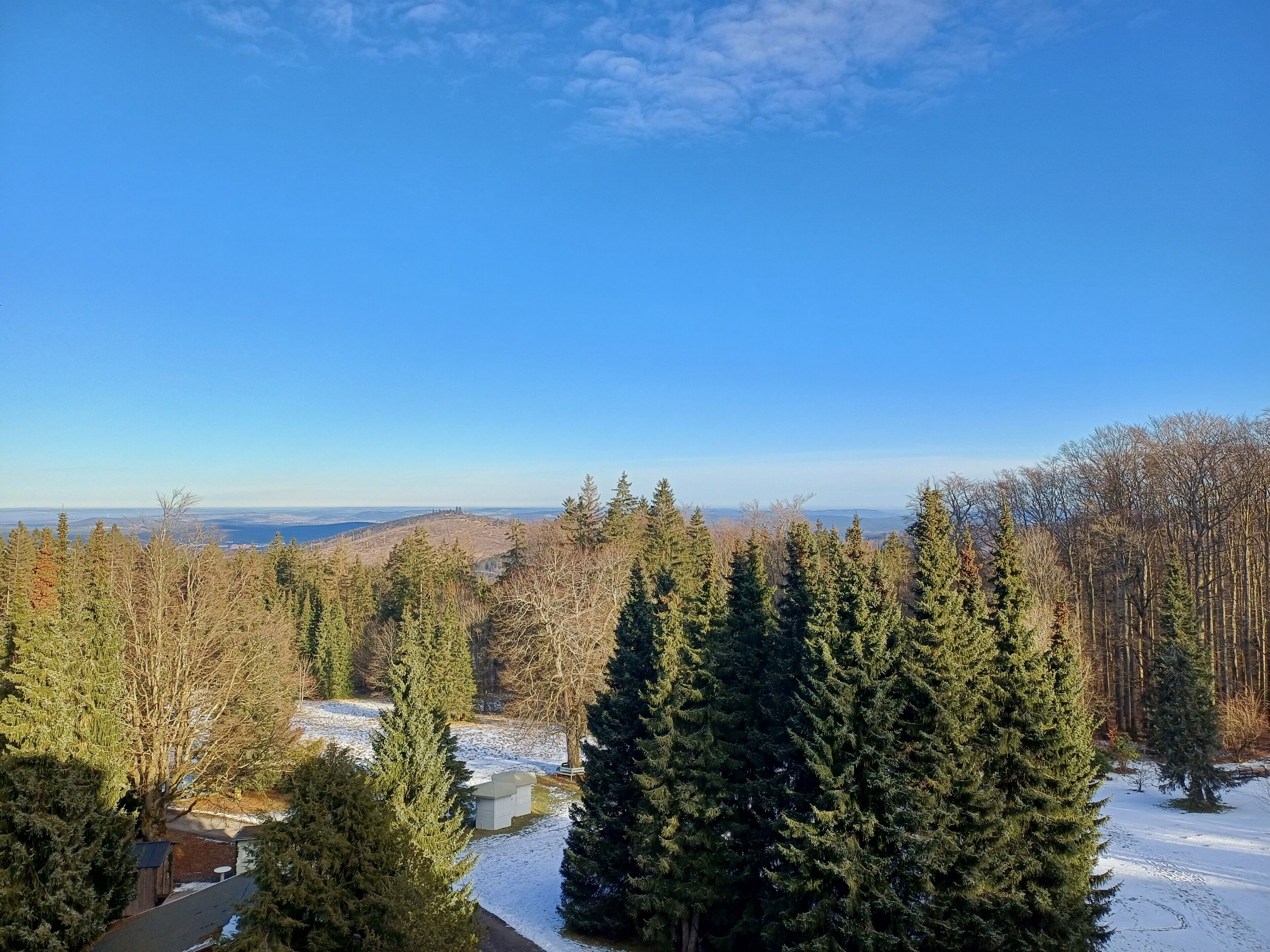 A snowy landscape with dense evergreen trees and a clear blue sky.