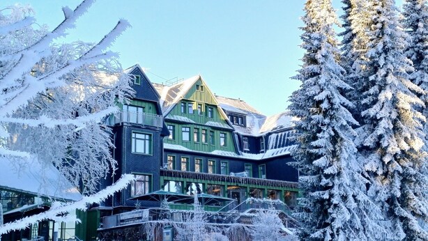 Un edificio de varios pisos con fachada verde y azul, rodeado de árboles cubiertos de nieve.