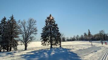 Schneebedeckte Landschaft mit blauem Himmel, einem großen immergrünen Baum und einer Loipenstrecke.