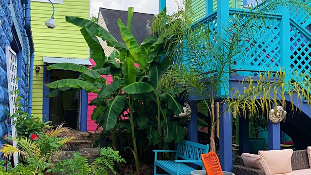 A colorful outdoor patio area with a blue pergola, a seating area with orange chairs, and lush greenery. - Creole Gardens Guesthouse and Inn (New Orleans)