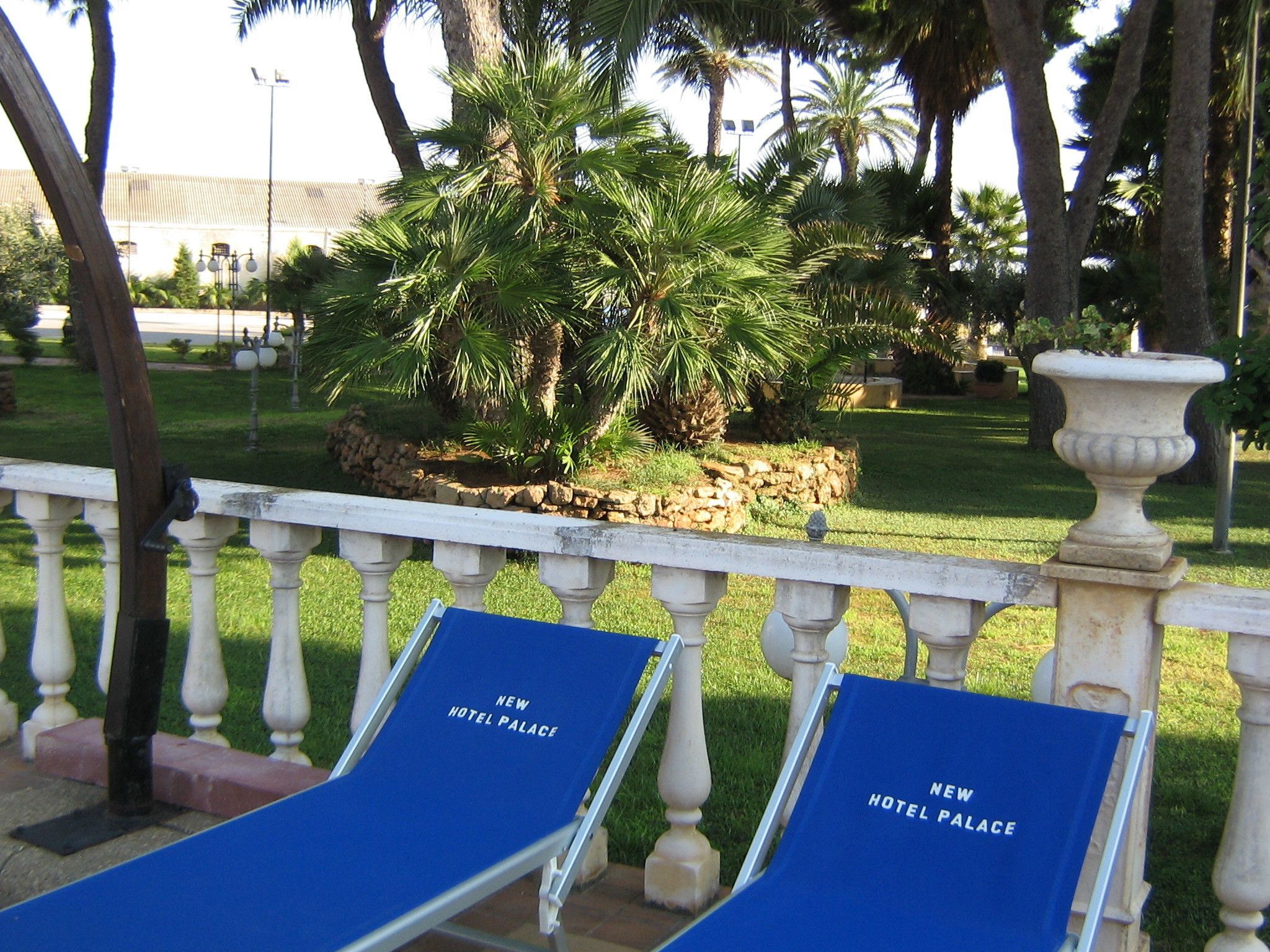 Un espace jardin agrémenté d’un palmier et d’un bac à fleurs en pierre. On y trouve deux fauteuils bleus avec l’inscription « New Hotel Palace ».