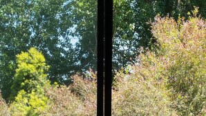 A balcony with two tables and chairs, overlooking a garden with various plants and trees.