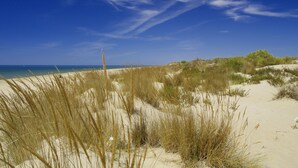 En strand med sanddyner och gles vegetation.