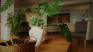 Ett träbord med två vita keramikblomkrukor med växter i, en flätad korg med tallkottar och en stor grön växt i bakgrunden.