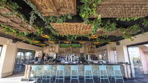Zona de bar con mostrador, taburetes y plantas colgantes.