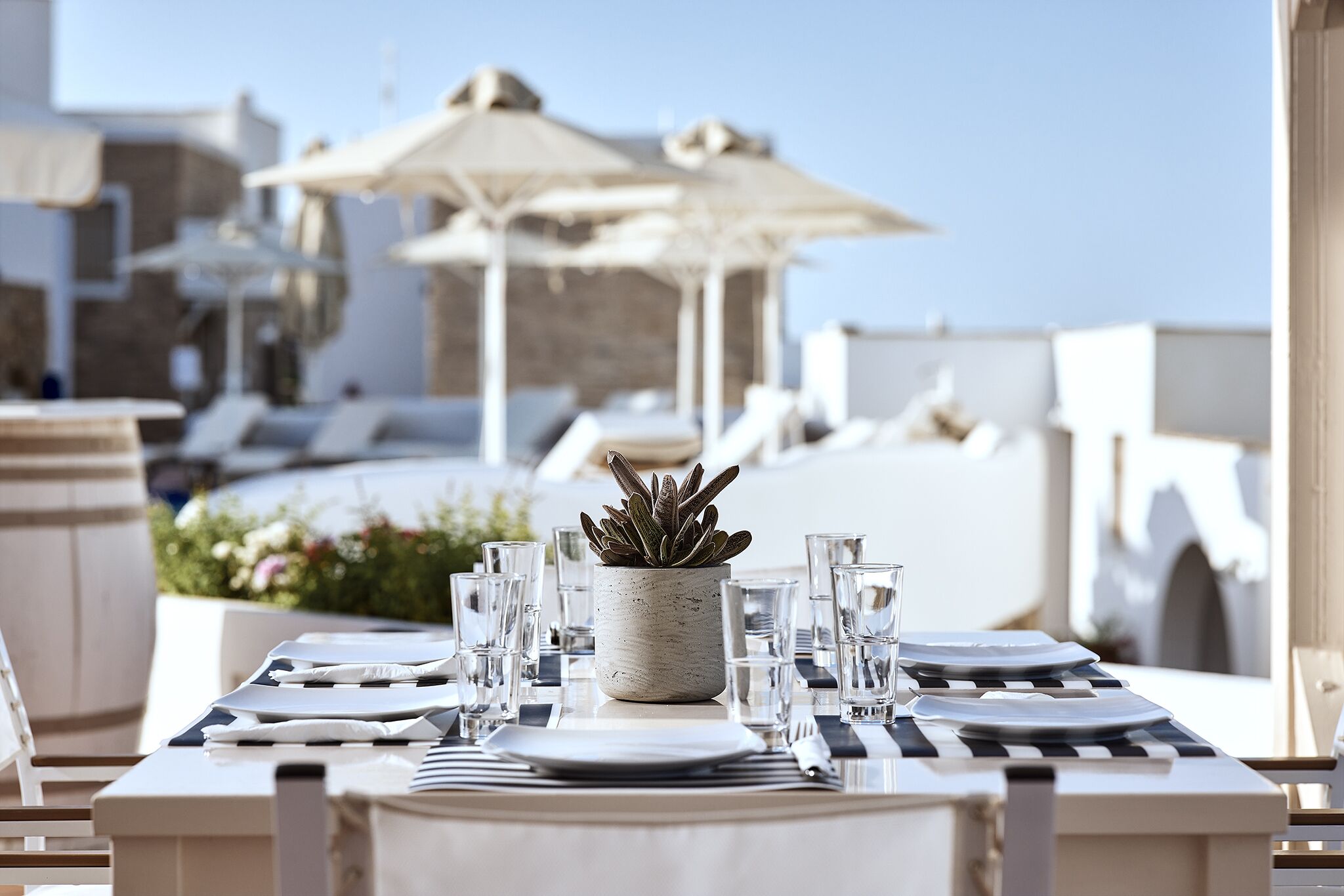 A table set for dining with a potted plant, glasses, and cutlery, overlooking a pool area with lounge chairs and umbrellas.