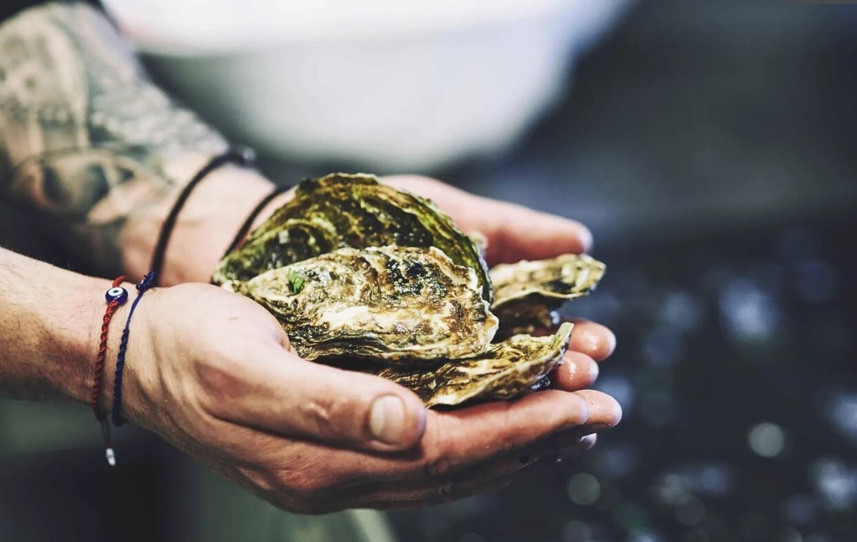 2 restaurants, lunch served