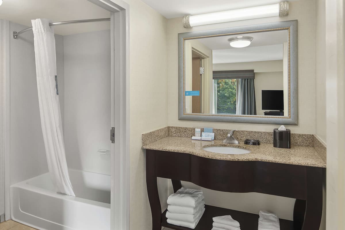 studio suite, 1 king bed, non smoking | bathroom shower
