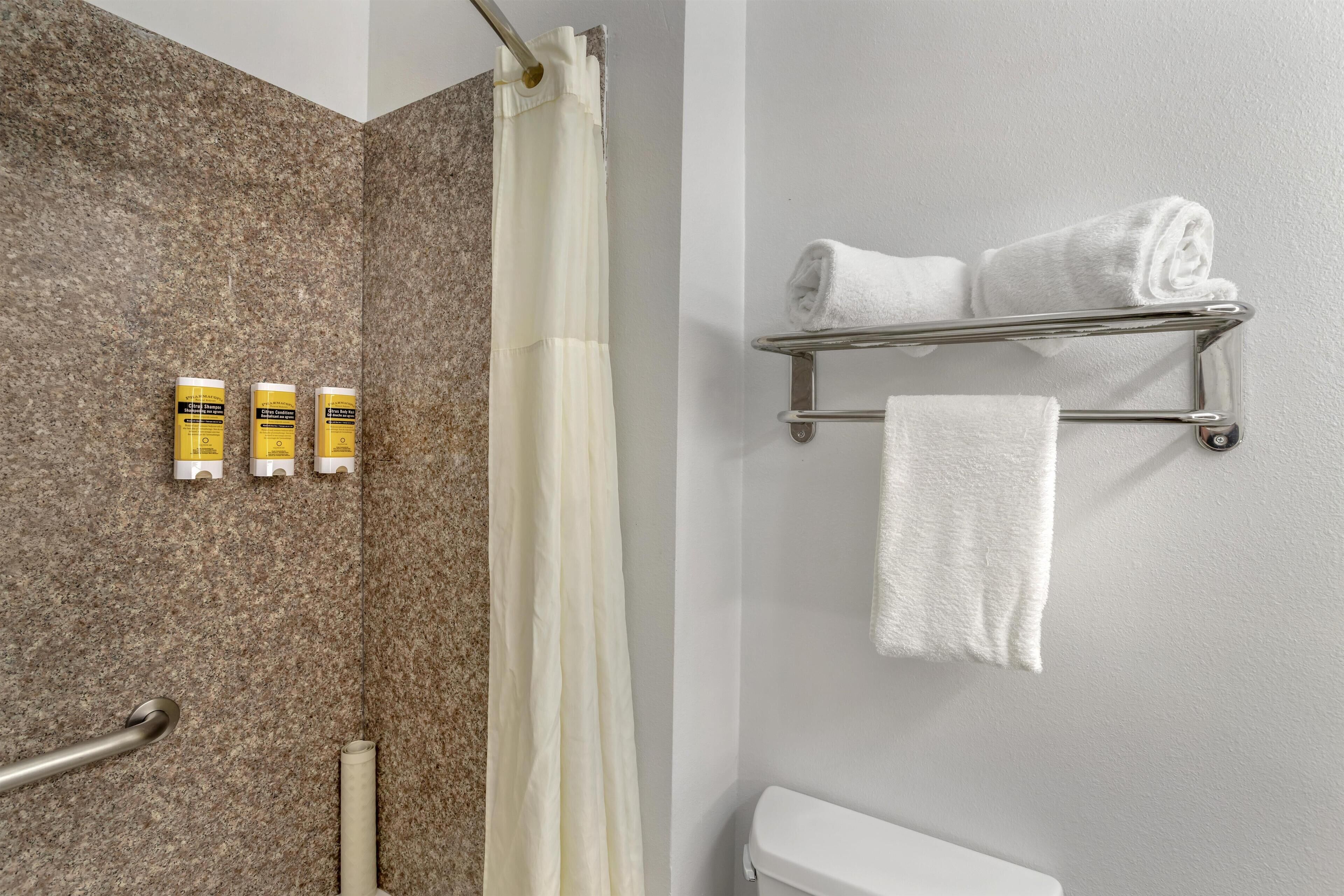 Un bagno con doccia, porta asciugamani e tre articoli da toilette a parete.