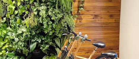 Cykling