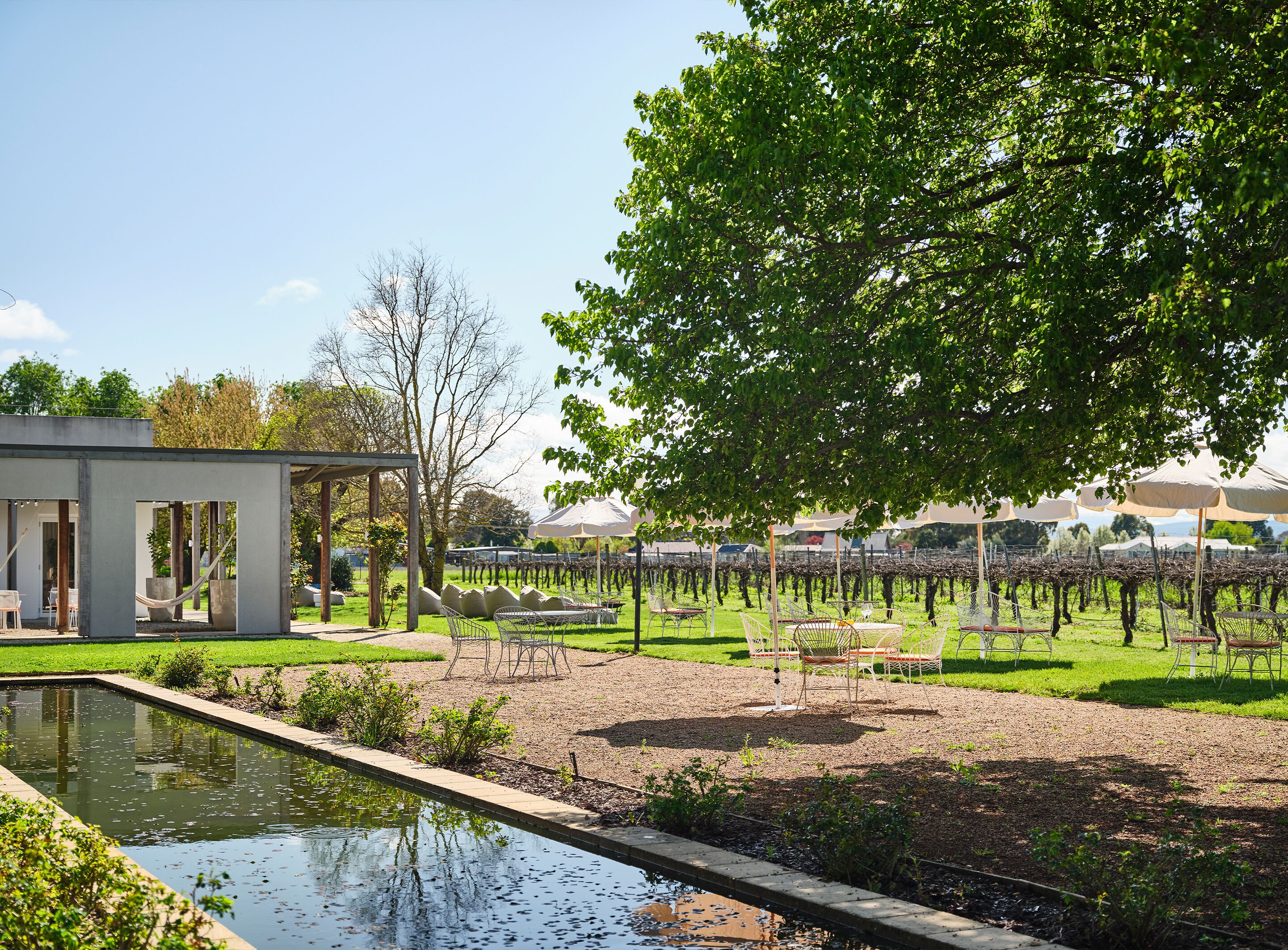 Un espace extérieur moderne doté d’une piscine, de coins salon et, en arrière-plan, d’un vignoble.
