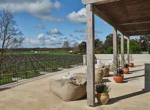 Vineyard
