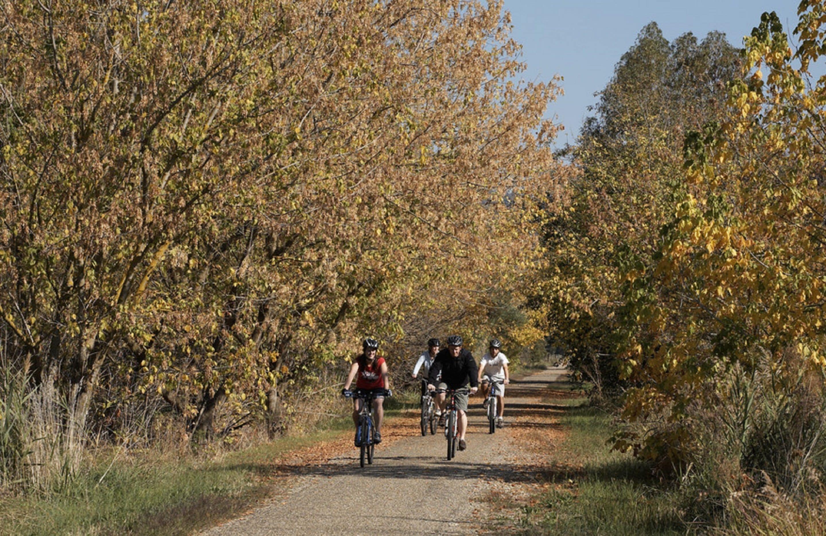 Un grupo de ciclistas en un camino de grava rodeado de árboles con follaje otoñal.