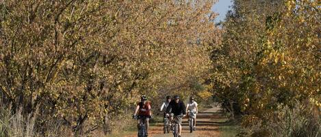 Un grupo de ciclistas en un camino de grava rodeado de árboles con follaje otoñal.