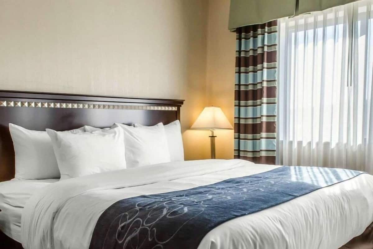 A hotel room with a bed, a lamp, and a window with curtains.