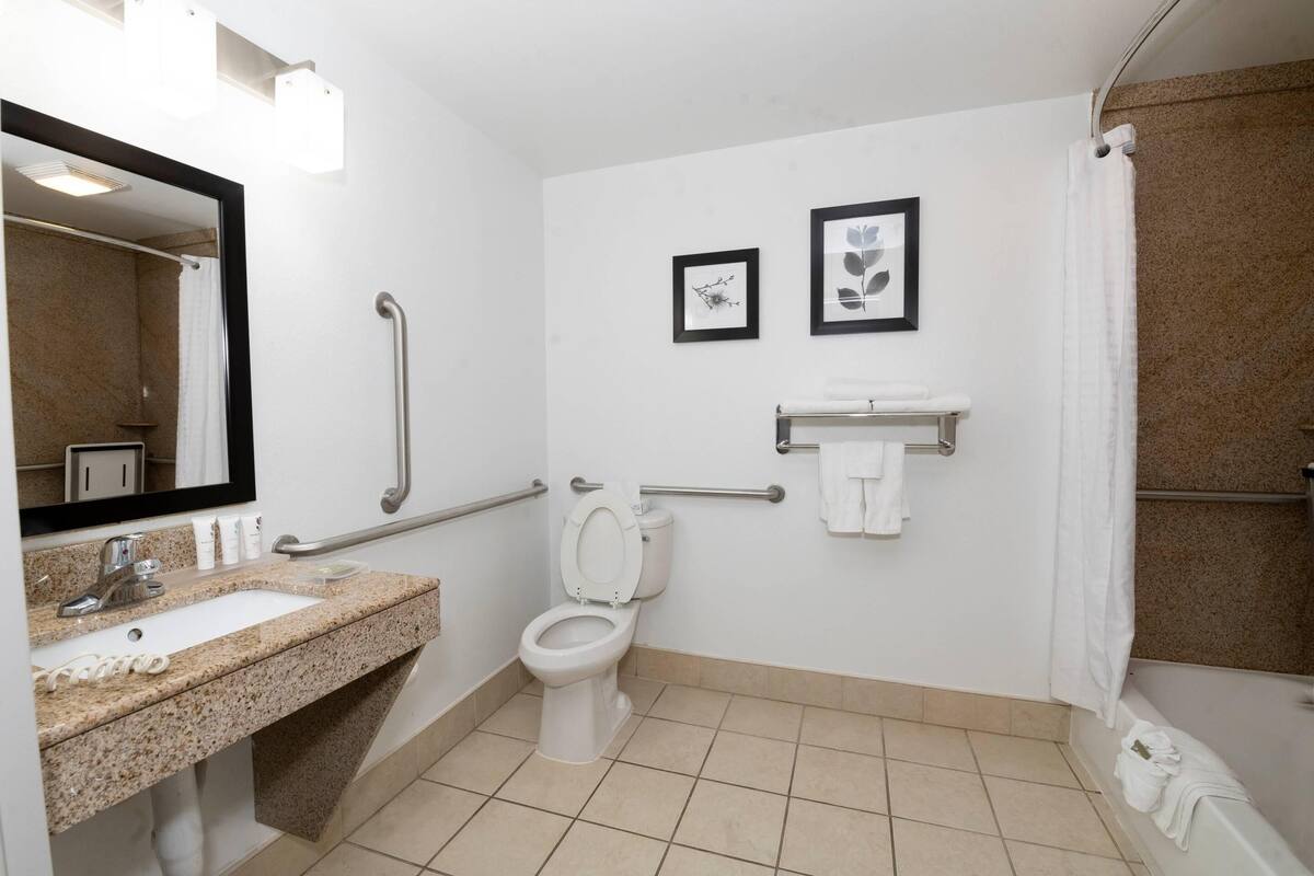 A bathroom with a sink, toilet, shower, and handrails.