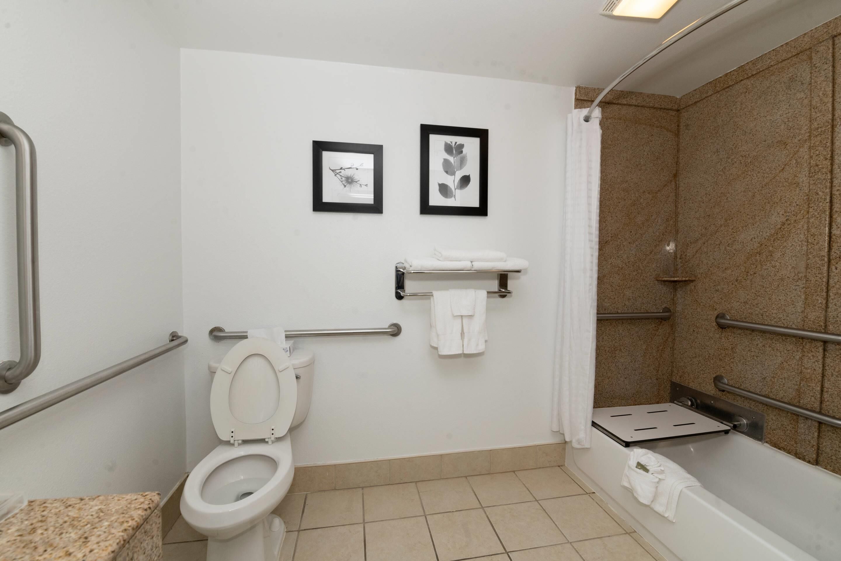 A bathroom with a toilet, a shower with a grab bar, and two framed pictures on the wall.